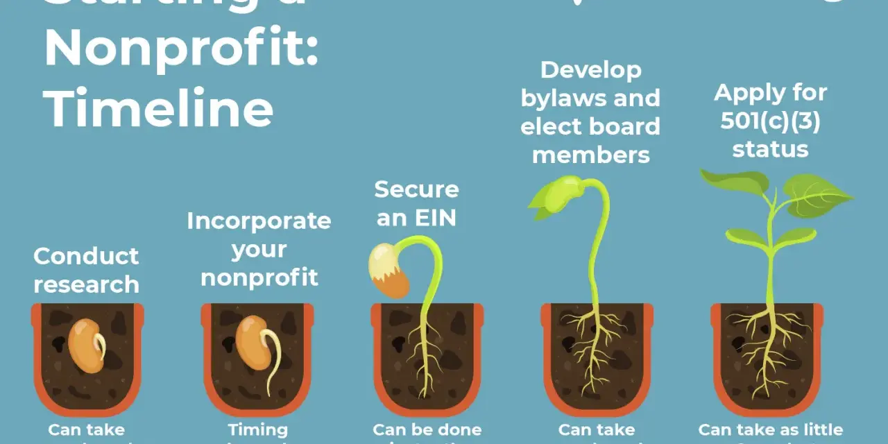Timeline for starting a nonprofit: research, incorporate, secure EIN, develop bylaws, apply for 501(c)(3) status. Each step is illustrated as a growing seedling.